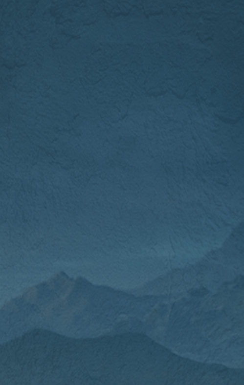 Im电竞网站官网